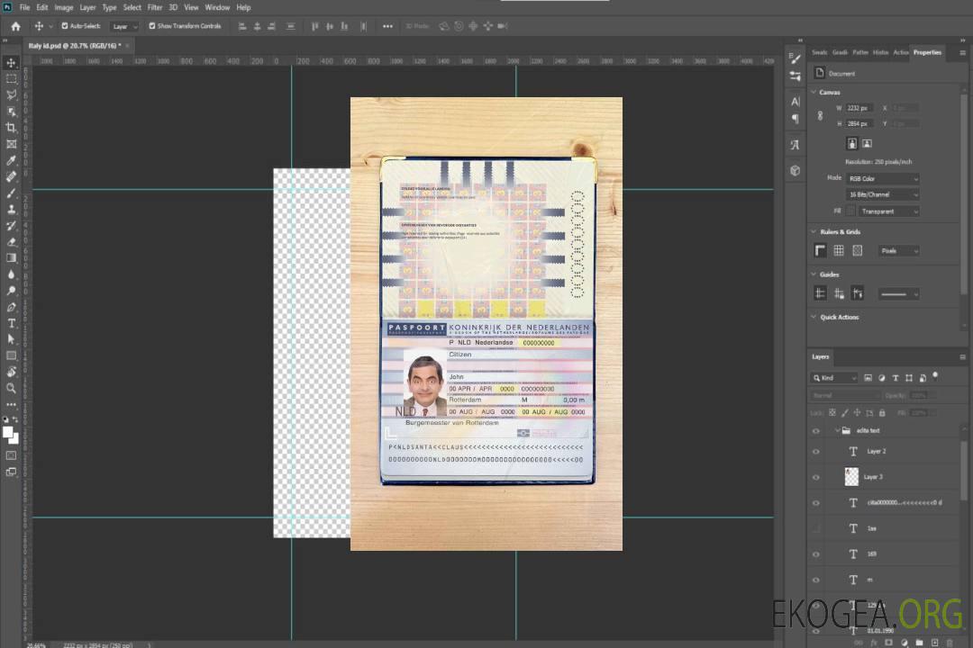 Aperçu photo du passeport des Pays-Bas (Hollande) (2006-2016) template